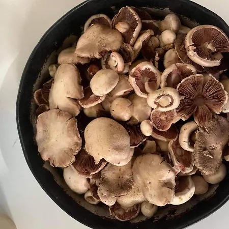 호텔 Grabova Grabove e Siperme