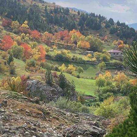 Grabova - Mountain Hotel *