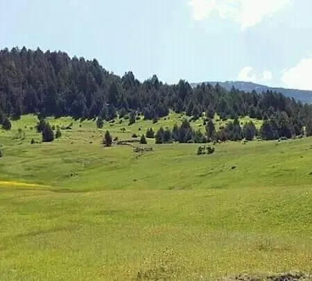 Grabova - Mountain Grabove e Siperme